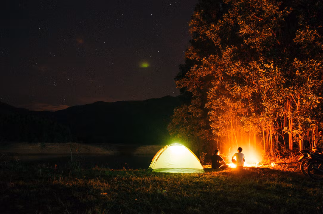 Experience Ziro Festival 2026 (The Pines by Zo Outpost)