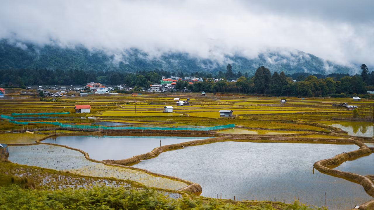 Experience Ziro Festival 2026 (Boutique Stay Edition)