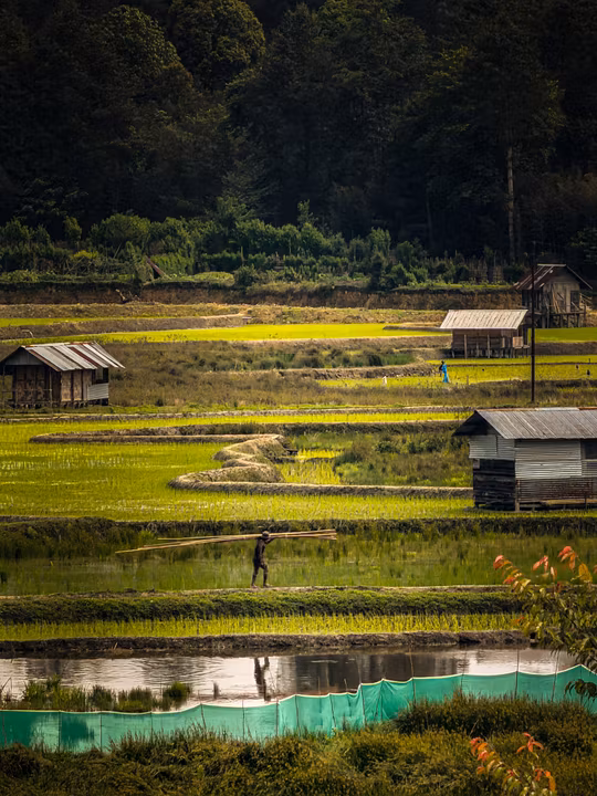 Experience Ziro Festival 2026 (Homestay Edition)