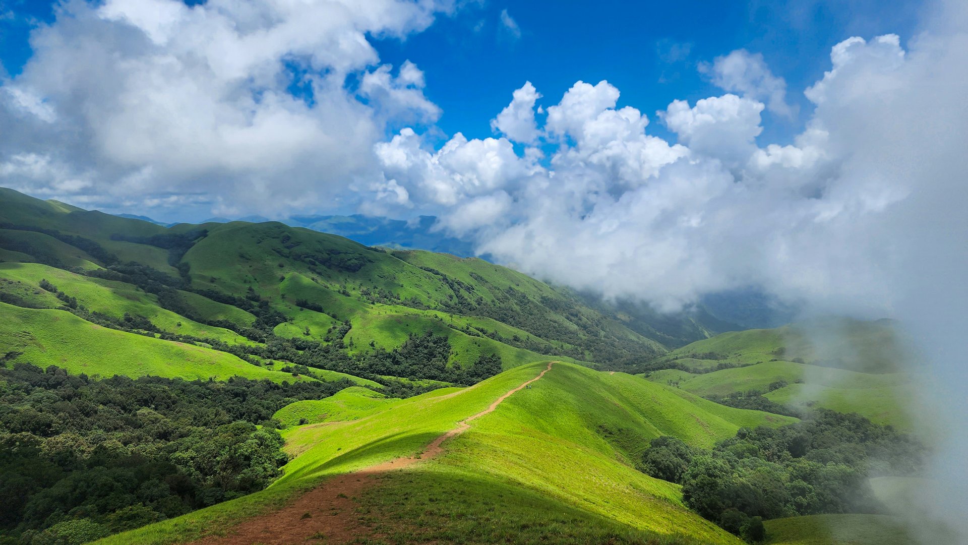 Chikkamagaluru 2N/3D - Experience Chikkamagaluru | Zostel